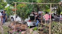 Megawati Meninggal Dunia Akibat Kecelakaan Mobil